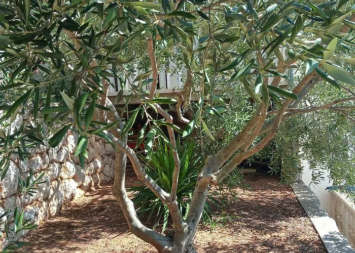 Apartamento Seaside With A Swimming Pool Cove Pribinja, Hvar - 24171