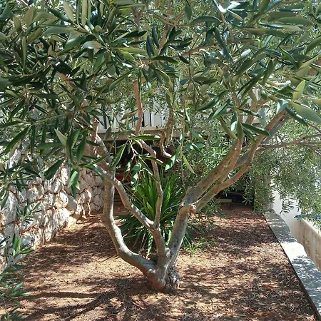 Lägenhet Seaside With A Swimming Pool Cove Pribinja, Hvar - 24171